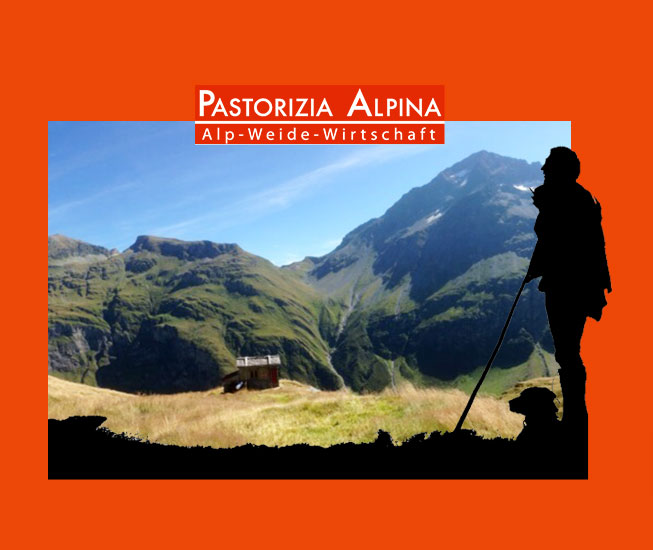 pastorizia alpina