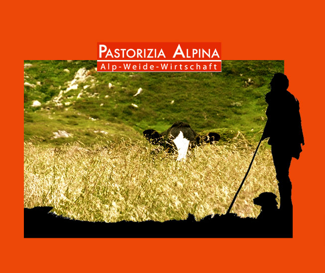 pastorizia alpina